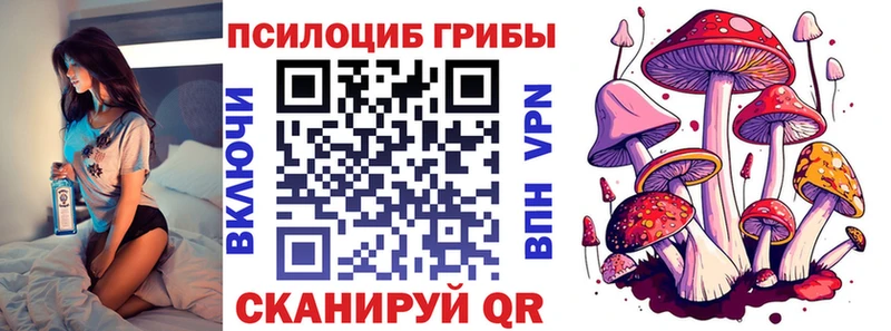 Галлюциногенные грибы Psilocybine cubensis Лесозаводск